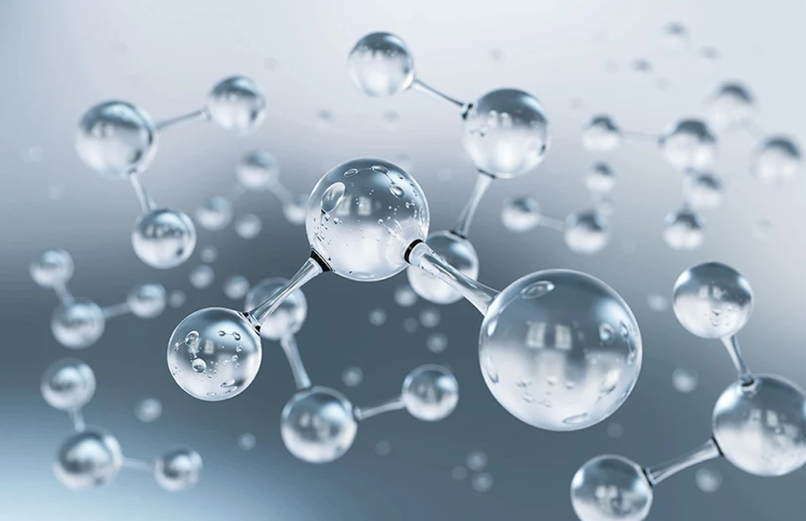 101: What They Are and Why Your Skin Loves Them