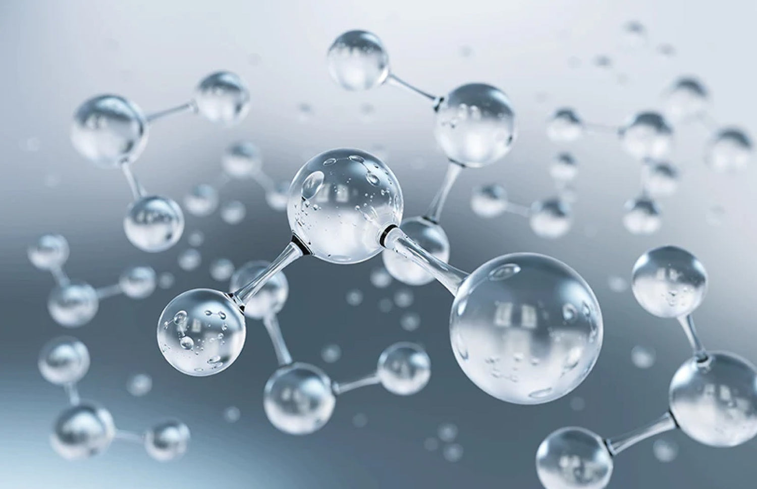 101: What They Are and Why Your Skin Loves Them